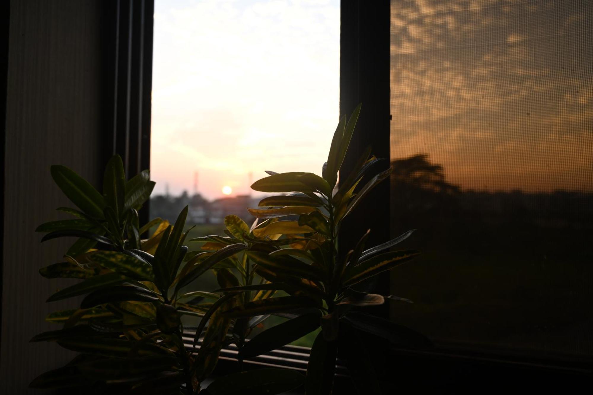 The Cabin By The Bayou Bed and Breakfast Guwahati Exterior foto